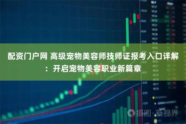 配资门户网 高级宠物美容师技师证报考入口详解：开启宠物美容职业新篇章